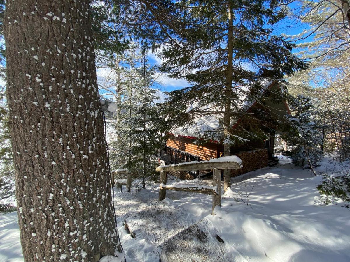 Le Petit Chalet Sur Le Lac Sainte-Marguerite-du-Lac-Masson Exterior foto